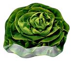 фото Блюдо сервировочное Walmer lettuce w22051618