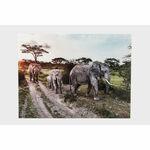 фото Картина семья слонов 160х120см Kare