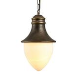 фото Уличный подвесной светильник Arte Lamp Vienna A1317SO-1BN