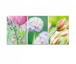 фото Модульная картина PRIMANOVA, COLORFUL FLOWERS, 50*35 см