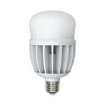 фото Лампа LED сверхмощная (10808) E27 25W (220W) 3000K LED-M80-25W/WW/E27/FR/S