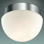 фото Потолочный светильник Odeon Light Minkar 2443/1A