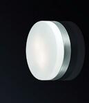 фото Потолочный светильник Odeon Light Presto 2405/1C