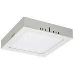 фото Накладной светодиодный светильник Elektrostandard DLS020 24W 4200K 4690389084591