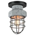 фото Потолочный светильник Lussole Loft LSP-9701