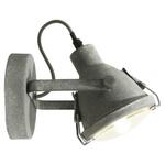 фото Спот Lussole Loft LSP-9883