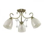фото Потолочная люстра Lumion Eleconca 3511/3C
