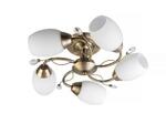 фото Потолочная люстра Toplight Alana TL3580X-05AB