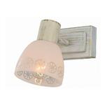 фото Спот Toplight Shona TL3740Y-01WG