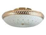 фото Накладной светильник Toplight Loreen TL1492Y-05GC
