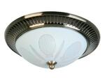 фото Накладной светильник Toplight Fae TL5060Y-02AB