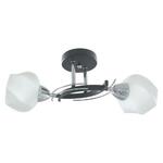 фото Потолочный светильник Toplight Lia TL7380X-02BC