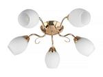 фото Потолочная люстра Toplight Kristin TL3520X-05FG