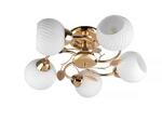 фото Потолочная люстра Toplight Maria TL3510X-05FG