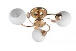 фото Потолочная люстра Toplight Maria TL3510X-03FG