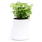 фото Горшок цветочный QUALY, Hill Pot, 13*13,7*13 см, белый