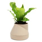 фото Горшок цветочный QUALY, Hill Pot, 13*10,5*13 см, кремовый
