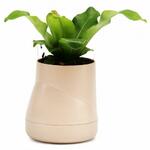 фото Горшок цветочный QUALY, Hill Pot, 13*13,7*13 см, кремовый