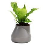 фото Горшок цветочный QUALY, Hill Pot, 13*10,5*13 см, серый