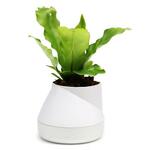 фото Горшок цветочный QUALY, Hill Pot, 13*10,5*13 см, белый