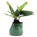 фото Горшок цветочный QUALY, Hill Pot, 13*10,5*13 см, зеленый
