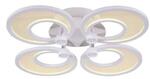 фото Потолочный светодиодный светильник ST Luce Nola SL898.502.04