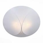фото Накладной светильник ST Luce Tonico SL360.552.04