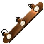 фото Спот Lussole Loft LSL-6801-03