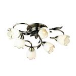 фото Потолочная люстра Arte Lamp 4 A6061PL-6AB