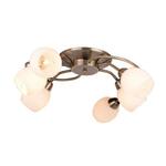 фото Потолочная люстра Arte Lamp Silvana A4033PL-6AB