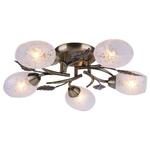 фото Потолочная люстра Arte Lamp Anetta A6157PL-5AB