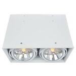 фото Потолочный светильник Arte Lamp Cardani A5936PL-2WH