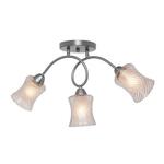 фото Потолочная люстра Silver Light Evita 132.55.3