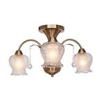 фото Потолочная люстра Silver Light Loretto 131.53.3