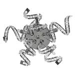 фото Бра Lightstar Spider 742654