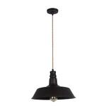 фото Подвесной светильник Maytoni Campane T023-01-R