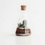 фото Набор для выращивания suck UK, Chemistry, 22,5*12*12 см