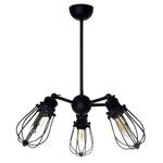 фото Подвесная люстра Spot Light Lorenzo 9980304