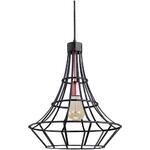 фото Подвесной светильник Spot Light Riana 1030194