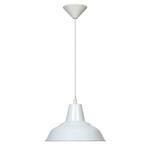 фото Подвесной светильник Spot Light Meg 1127102