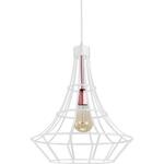 фото Подвесной светильник Spot Light Riana 1030195