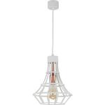 фото Подвесной светильник Spot Light Riana 1030197