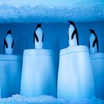 фото Форма для эскимо QUALY, Penguin on ice