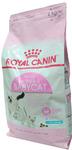 Фото №4 Royal Canin Mother&Babycat