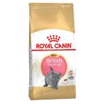 фото Royal Canin British Shorthair Kitten