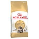 фото Royal Canin Maine Coon Adult