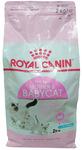 Фото №3 Royal Canin Mother&Babycat