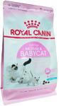 Фото №7 Royal Canin Mother&Babycat