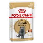 фото Royal Canin British Shorthair Gravy