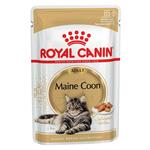 фото Royal Canin Maine Coon Gravy